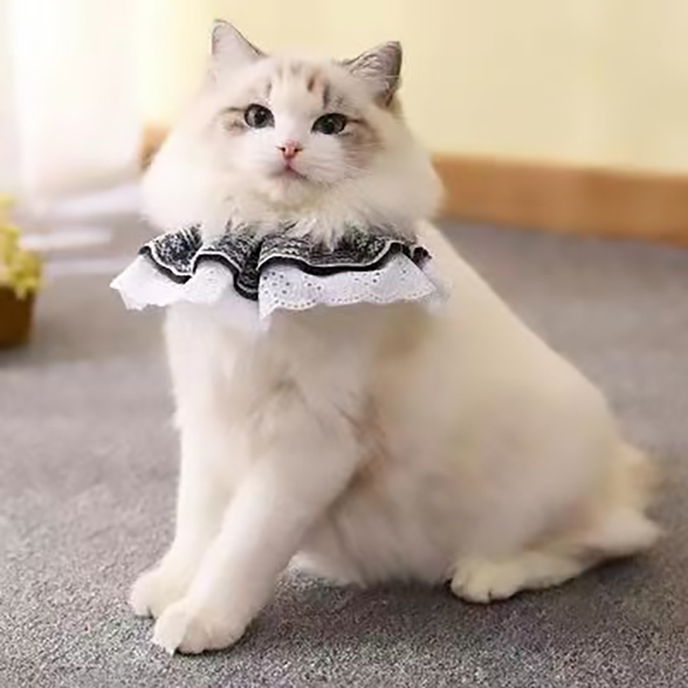 Ryuzo collars for cats,Cat Collar Lace Decorative Cute Cotton Creative Metal Puppy Bib Collar with Bell Detachable Indoor Fun Novelty Bow