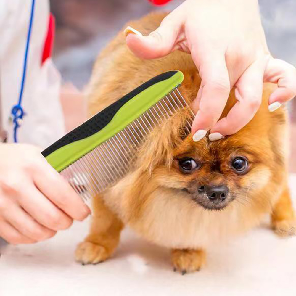 UDOGGY Pet comb, Portable 2-in-1 Stainless Steel Grooming Comb for Small, Medium & Large Pets