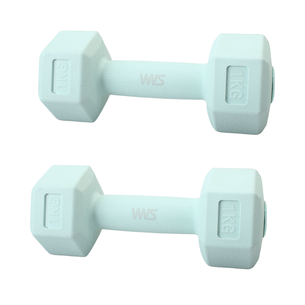 WWS Fitness Equipment 1KG Dumbbell Female Fitness Arm Muscle Exercise Weight Loss Dumbbell
