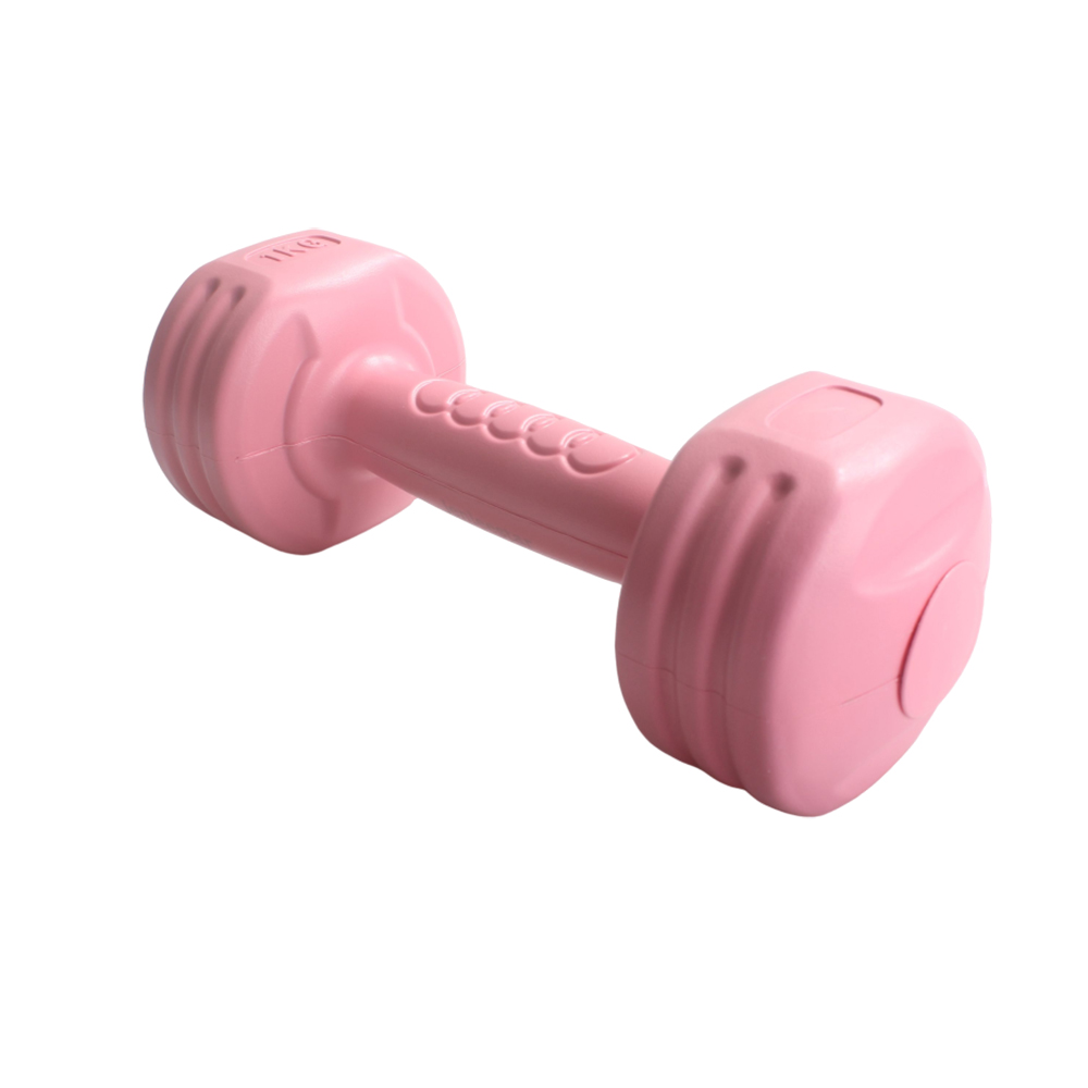 Jenleestar Body-Building Apparatus,1KG Small Dumbbells,Women's Fitness Home Equipment Dumbbells