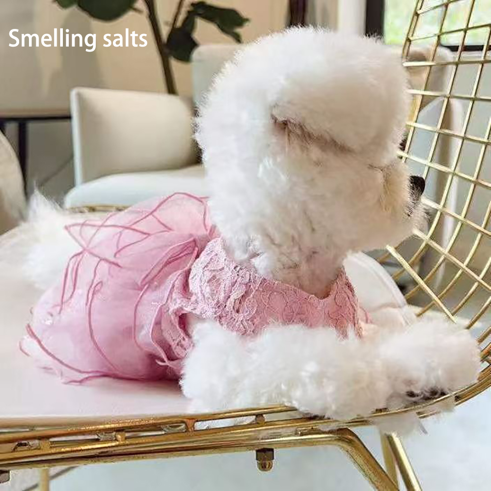 Smelling Salts Clothing for Pets,Summer Lightweight Lace Pearl Buckle Small Pet Skirt