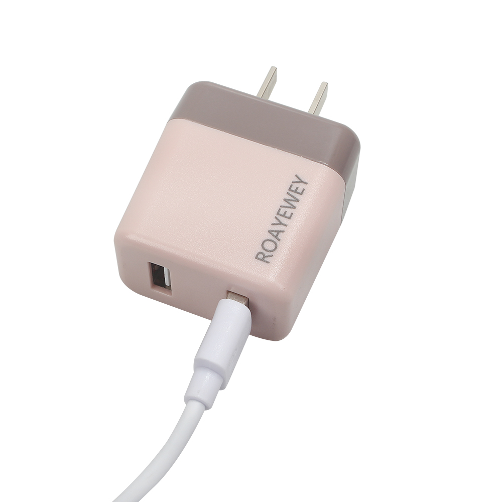 ROAYEWEY Electrical adapters, dual port plug, fast charging USB universal version, compact and convenient to carry