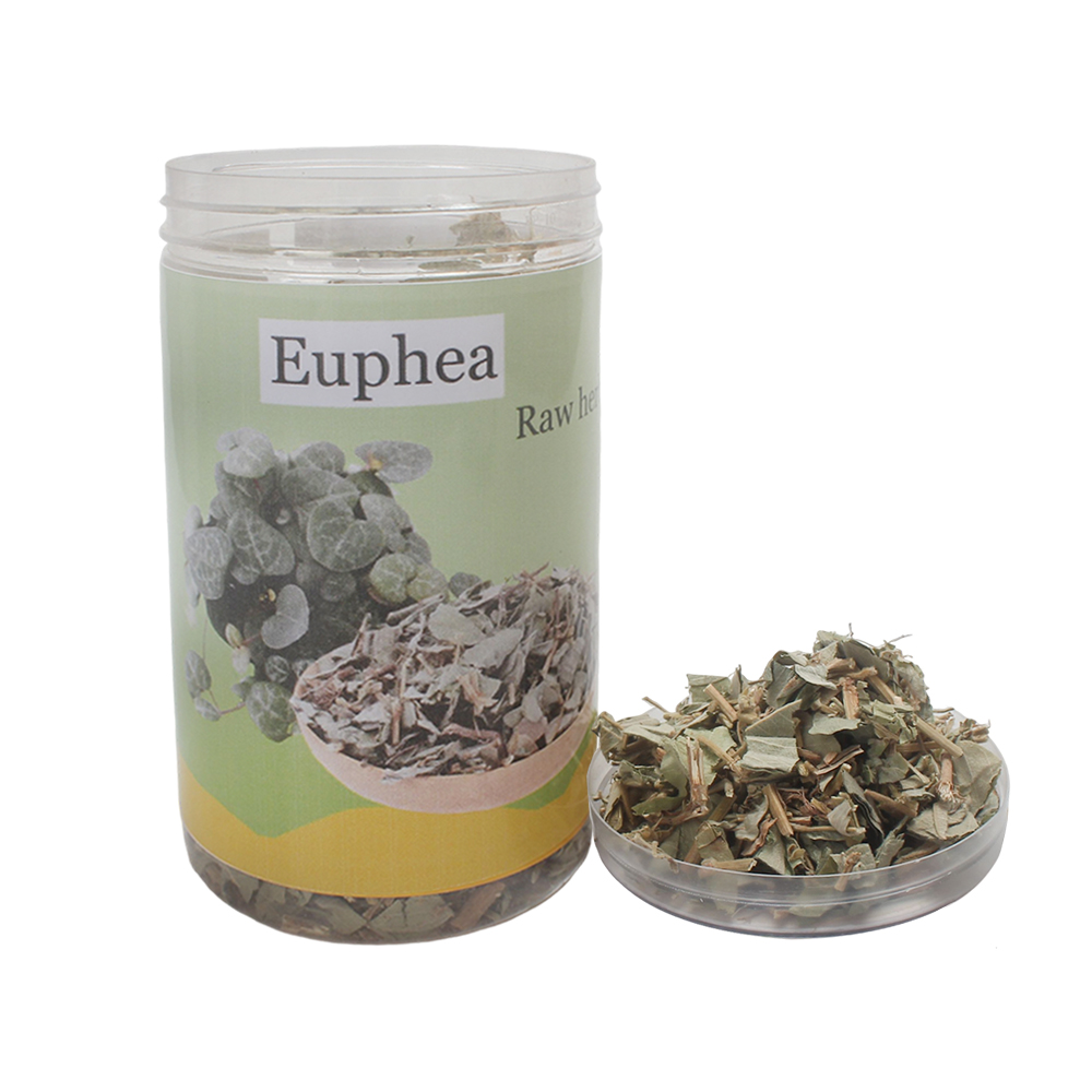 Euphea Golden Money Grass (Herbs) for Herbal Tea & Wellness - Supports Gallbladder Function & Detoxification - Daily Health Supplement Euphea Golden Money Grass (Herbs) for Herbal Tea & Wellness - Supports Gallbladder Function & Detoxification - Daily Health Supplement