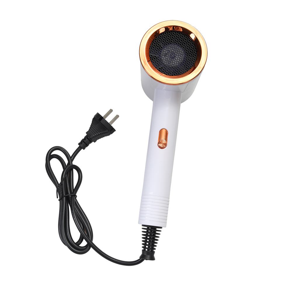 Ostrich Electric Hair Dryers,20000 RPM Ionic Blow Dryer with Concentrator , 3 temperature (COOL/ WARM/ HOT) and 2-speed (LOW/ HIGH) Hair Dryers for Salon, Home and Travel.