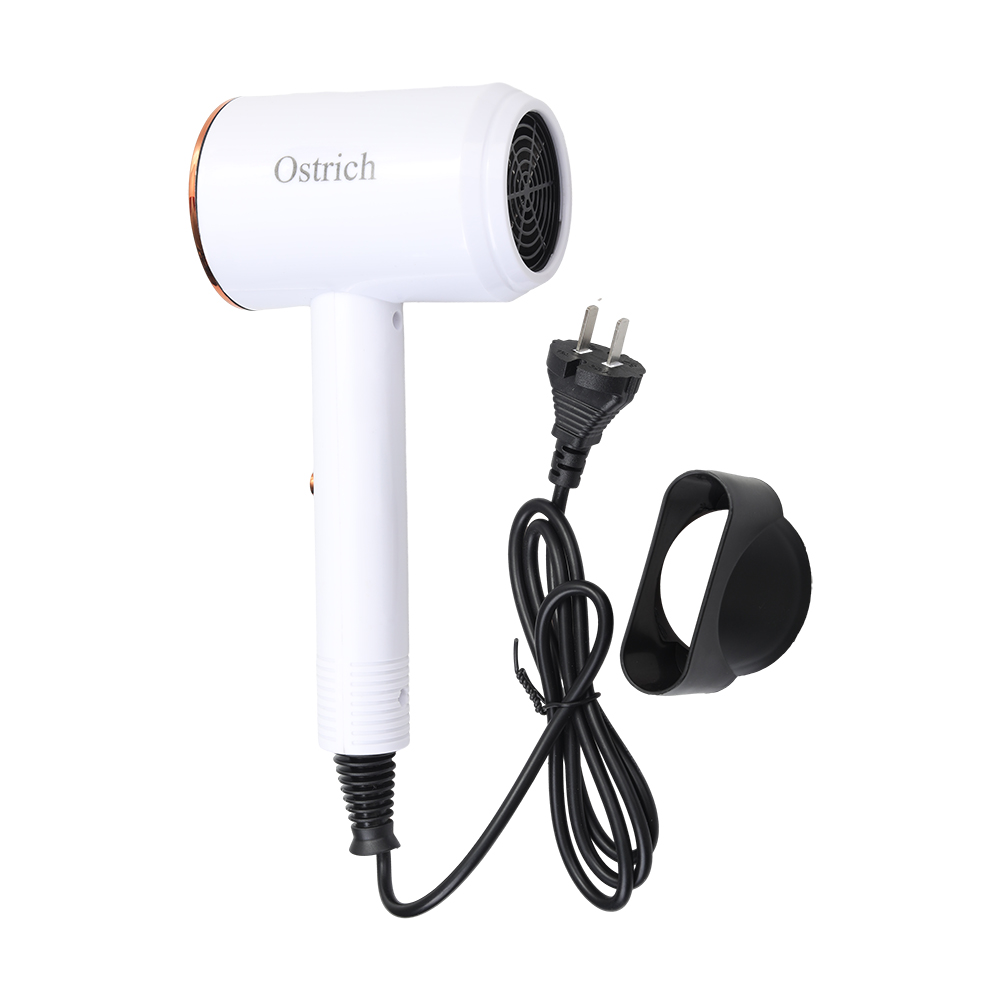 Ostrich Electric Hair Dryers,20000 RPM Ionic Blow Dryer with Concentrator , 3 temperature (COOL/ WARM/ HOT) and 2-speed (LOW/ HIGH) Hair Dryers for Salon, Home and Travel.
